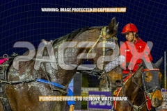 2026_PACEPIX_GP08092026_RACE3_SugaStreet_WIN_WEB-17