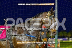 2026_PACEPIX_GP08092026_RACE3_SugaStreet_WIN_WEB-18