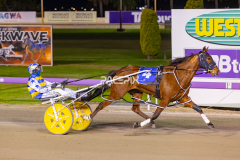 2025_PACEPIX_GP10102025_RACE3_SweetCoco_WIN_FULL-13
