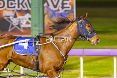 2025_PACEPIX_GP10102025_RACE3_SweetCoco_WIN_FULL-16