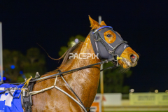 2025_PACEPIX_GP10102025_RACE3_SweetCoco_WIN_FULL-21