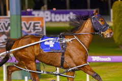2025_PACEPIX_GP10102025_RACE3_SweetCoco_WIN_FULL-5