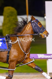 2025_PACEPIX_GP10102025_RACE3_SweetCoco_WIN_FULL-6