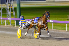 2025_PACEPIX_GP10102025_RACE3_SweetCoco_WIN_FULL-8
