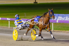 2025_PACEPIX_GP10102025_RACE3_SweetCoco_WIN_FULL-9