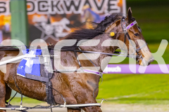 2025_PACEPIX_GP02092025_RACE3_SweetIvy_WIN_WEB-10