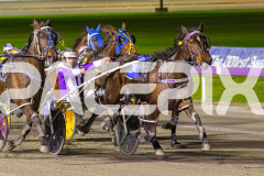 2025_PACEPIX_GP02092025_RACE3_SweetIvy_WIN_WEB-5