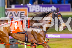 2025_PACEPIX_GP17102025_Race3_SweetLucifer_WIN_WEB-22