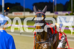 2025_PACEPIX_GP17102025_Race3_SweetLucifer_WIN_WEB-24
