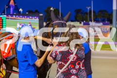 2025_PACEPIX_GP17102025_Race3_SweetLucifer_WIN_WEB-25