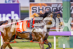 2025_PACEPIX_GP17102025_Race3_SweetLucifer_WIN_WEB-5