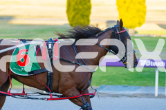 2025_PACEPIX_GP12122025_RACE3_SweetLucifer_WIN_WEB-24