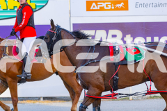 2025_PACEPIX_GP12122025_RACE3_SweetLucifer_WIN_WEB-26