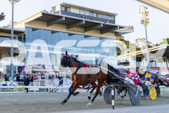 2025_PACEPIX_GP12122025_RACE3_SweetLucifer_WIN_WEB-27