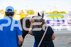 2025_PACEPIX_GP12122025_RACE3_SweetLucifer_WIN_WEB-28