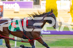 2025_PACEPIX_GP12122025_RACE3_SweetLucifer_WIN_WEB-3
