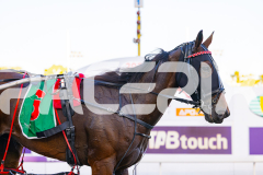 2025_PACEPIX_GP12122025_RACE3_SweetLucifer_WIN_WEB-33