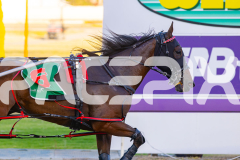2025_PACEPIX_GP12122025_RACE3_SweetLucifer_WIN_WEB-4