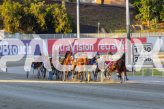2025_PACEPIX_GP12122025_RACE3_SweetLucifer_WIN_WEB-5