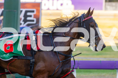 2025_PACEPIX_GP12122025_RACE3_SweetLucifer_WIN_WEB-8