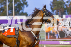 RACE 3 - Sweet Lucifer