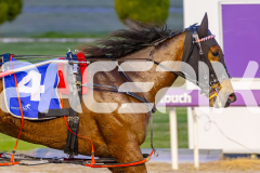 2025_PACEPIX_GP03102025_RACE3_SweetLucifer_WIN_WEB-24
