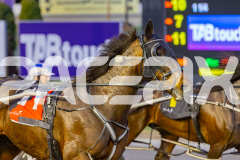 2025_PACEPIX_GP03102025_RACE3_SweetLucifer_WIN_WEB-25