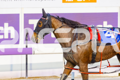 2025_PACEPIX_GP03102025_RACE3_SweetLucifer_WIN_WEB-28