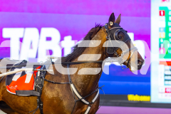 2025_PACEPIX_GP03102025_RACE3_SweetLucifer_WIN_WEB-3