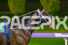 2026_PACEPIX_GP19062026_Race3_SweetPins_WIN_WEB-14