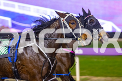 2026_PACEPIX_GP19062026_Race3_SweetPins_WIN_WEB-5