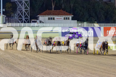 2026_PACEPIX_GP15052026_Race3_SweetPins_WIN_WEB-1