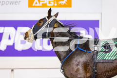 2026_PACEPIX_GP15052026_Race3_SweetPins_WIN_WEB-12