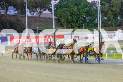 2025_PACEPIX_GP14112025_RACE3_IdealDuke_WIN_WEB-1