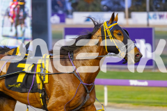 2025_PACEPIX_GP14112025_RACE3_IdealDuke_WIN_WEB-11