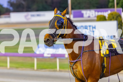 2025_PACEPIX_GP14112025_RACE3_IdealDuke_WIN_WEB-15