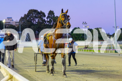 2025_PACEPIX_GP14112025_RACE3_IdealDuke_WIN_WEB-17