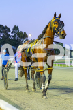 2025_PACEPIX_GP14112025_RACE3_IdealDuke_WIN_WEB-18