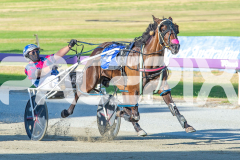 RACE 3 - The Swindler