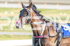 2026_PACEPIX_GP06012026_Natasha_WEB-34