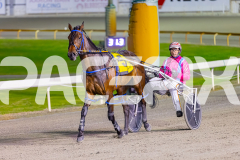 2025_PACEPIX_GP16092025_Race3_TheWandWaver_WIN_WEB-10