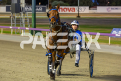 The-Wildcard_06-12-2025_WIN_Glouester-Park_3__02