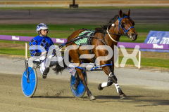 The-Wildcard_06-12-2025_WIN_Glouester-Park_3__05