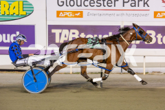 The-Wildcard_06-12-2025_WIN_Glouester-Park_3__06