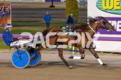 The-Wildcard_06-12-2025_WIN_Glouester-Park_3__07