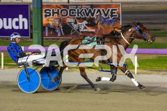 The-Wildcard_06-12-2025_WIN_Glouester-Park_3__08