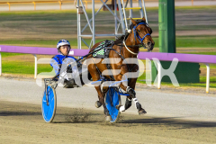 The-Wildcard_06-12-2025_WIN_Glouester-Park_3__12