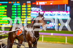 2025_PACEPIX_GP02052025_Race3_TigerRoyal_WIN_WEB-1