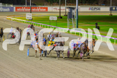 2025_PACEPIX_GP02052025_Race3_TigerRoyal_WIN_WEB-10