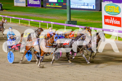2025_PACEPIX_GP02052025_Race3_TigerRoyal_WIN_WEB-12